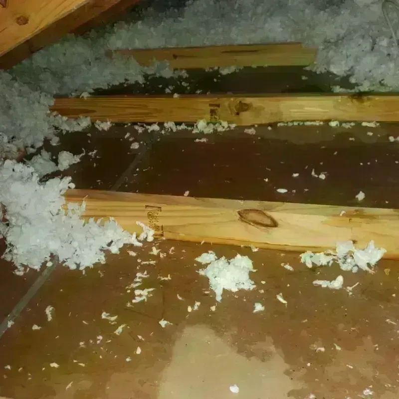 Attic Water Damage in Teviston, CA